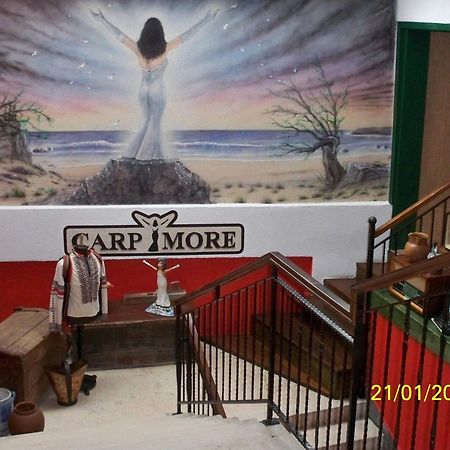 Hotel Carpymore Biograd Na Moru Exteriér fotografie